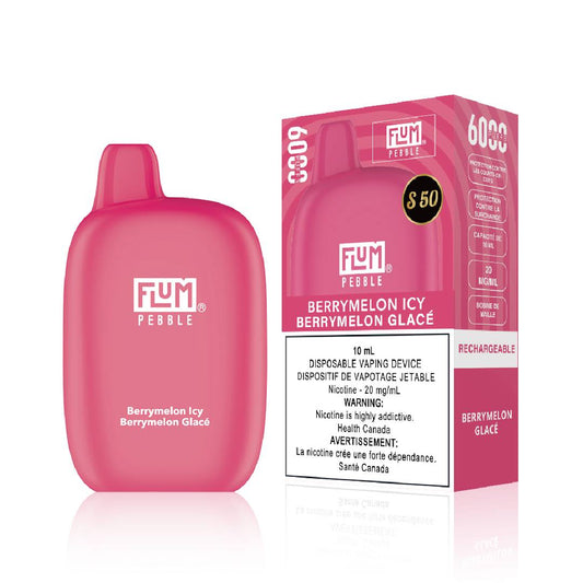 FLUM - 6000 PUFFS BERRYMELON ICY, $19.99