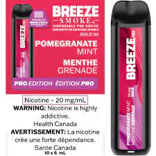 BREEZE PRO - POMEGRANATE MINT