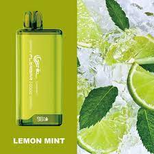 FLERBAR LEMON MINT BOX ( 10 IN A BOX )